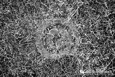 区块链 blockchain